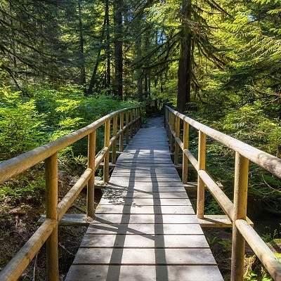 Addiction recovery resource by Michael Walsh on the topic of &ldquo;How to Access Drug and Alcohol Detox if You’re Experiencing Withdrawal Symptoms&rdquo;