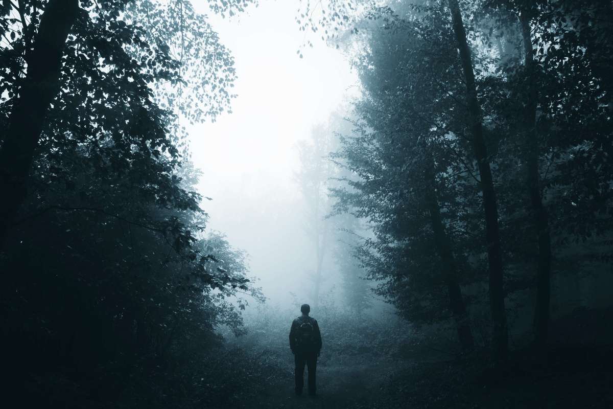 &ldquo;Do We Know What Causes Addiction? Does It Matter?&rdquo; - article by Michael Walsh