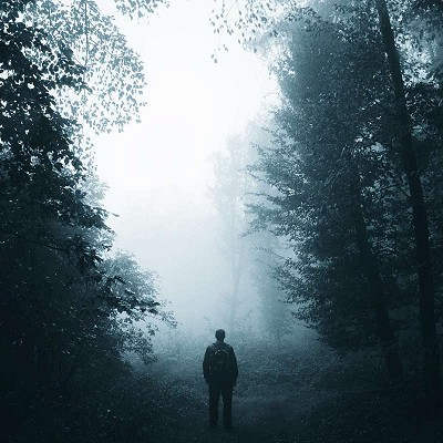 Addiction recovery resource by Michael Walsh on the topic of &ldquo;Do We Know What Causes Addiction? Does It Matter?&rdquo;