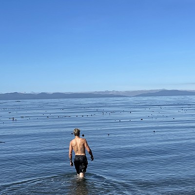 Man On the beach Micheal Walsh  Success Story