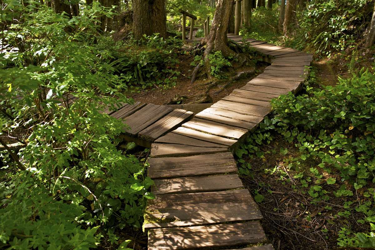 &ldquo;Reinventing Yourself in Recovery — Living an Inspired Life After Addiction&rdquo; - article by Michael Walsh