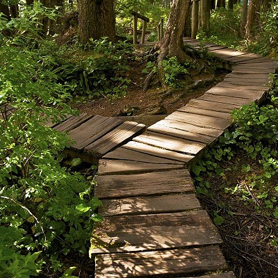 Addiction recovery resource by Michael Walsh on the topic of &ldquo;Reinventing Yourself in Recovery — Living an Inspired Life After Addiction&rdquo;