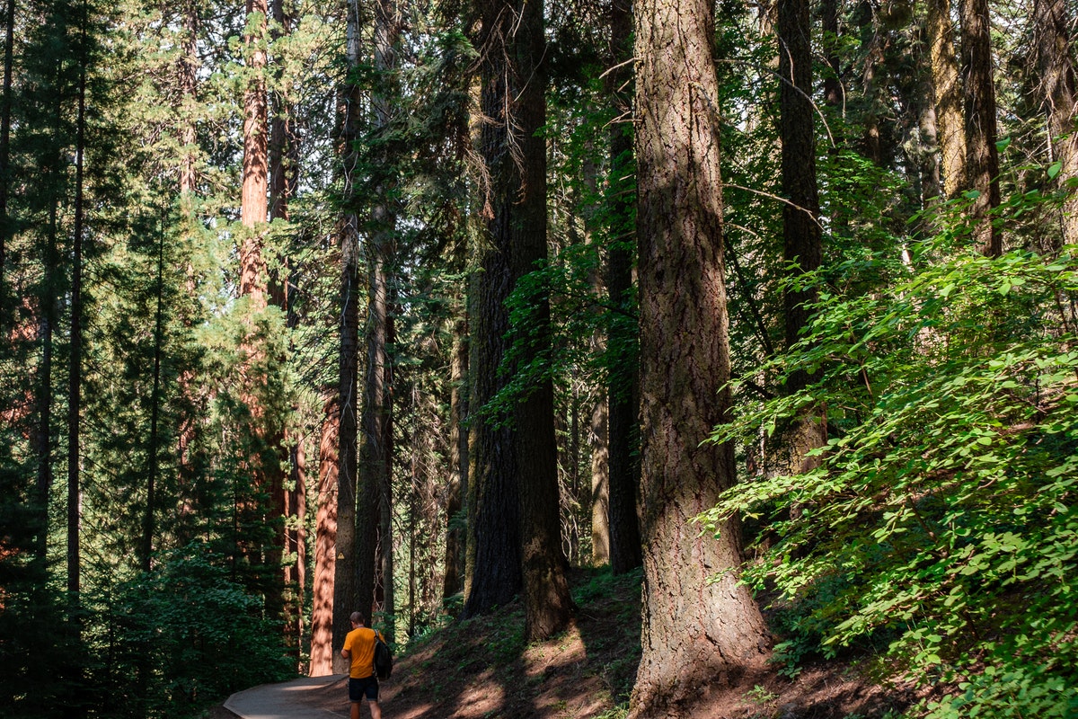Man walking on a trail