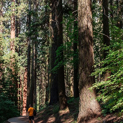 Man walking on a trail